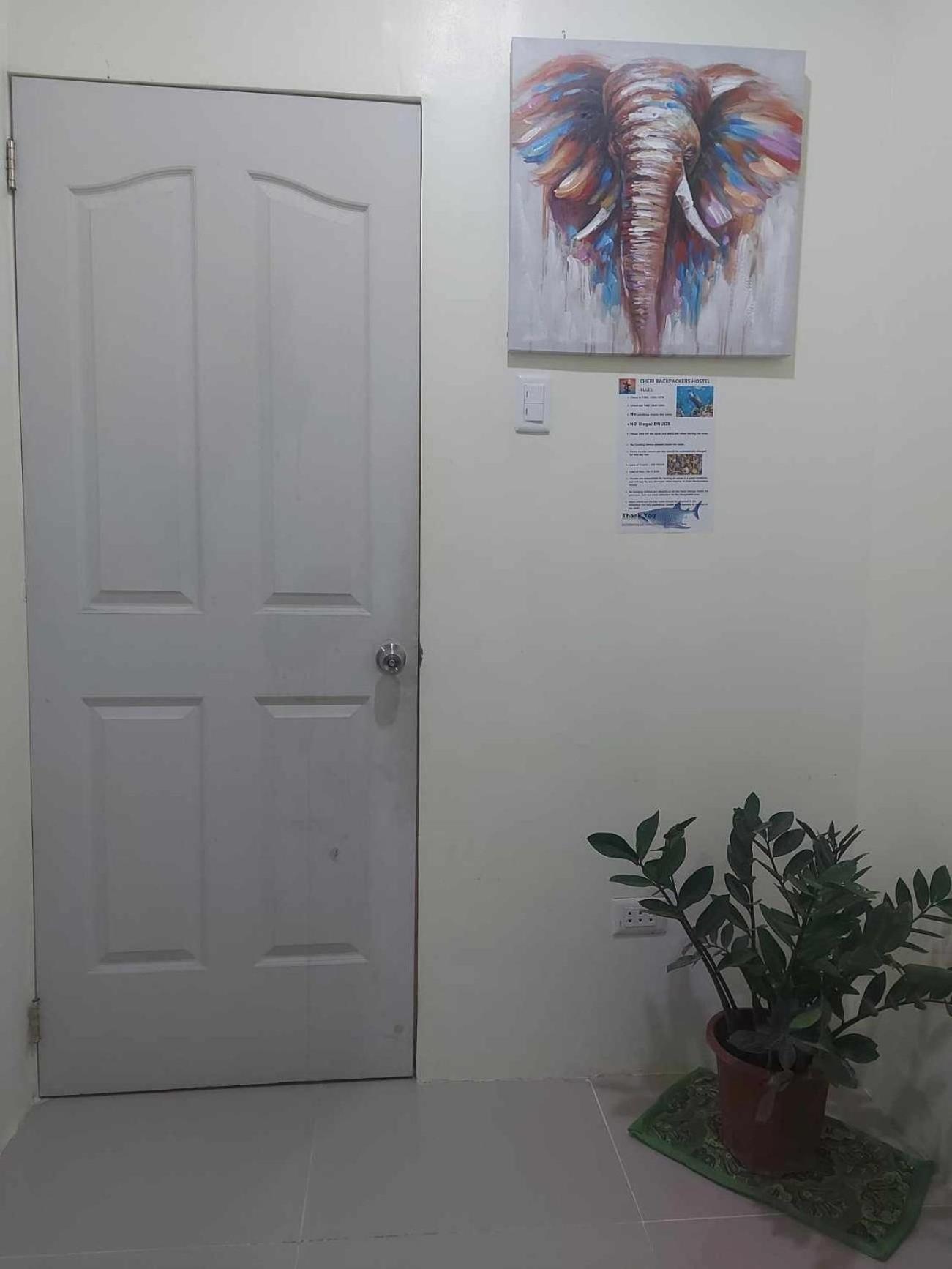 Cheri Backpackers Hostel Моалбоал Екстериор снимка